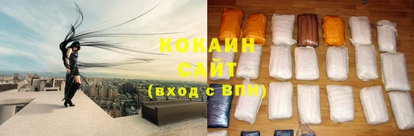 МДПВ Богородск