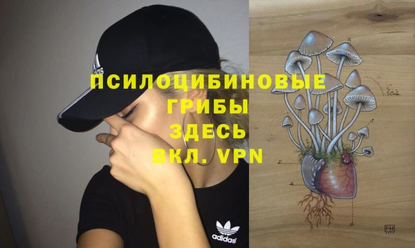 экстази Богородицк